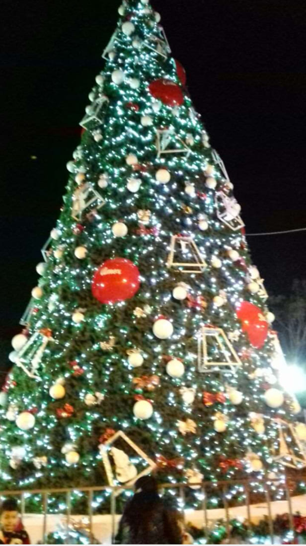 Arbol-6